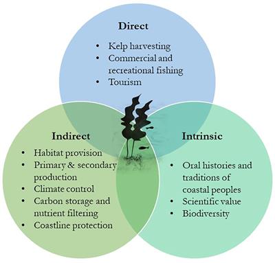 Brown algae (Phaeophyceae) stressors and illnesses: a review for a sustainable aquaculture under climate change